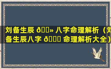 刘备生辰 🌻 八字命理解析（刘备生辰八字 🐘 命理解析大全）